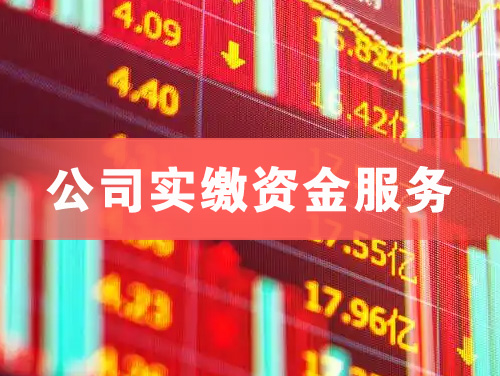 济南公司实缴资金服务